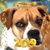 Tedra Powers Ulmer's profile image