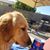 Beth Mann Hoenshell's profile image