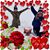 Jennifer Ferrario Akins's profile image