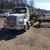 Leslie Thieme's profile image