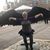Kimberly Harkins's profile image