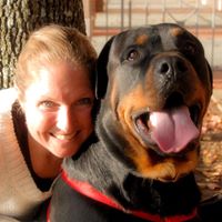 Stephanie James's profile image