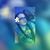 Alexis VanKeulen's profile image