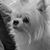 Mary Ann Caumeran's profile image