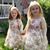 Susie Boege's profile image
