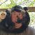 Steven Massey's profile image