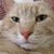 Mary Tonry Antaya's profile image