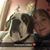 April Lein's profile image