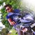 Neil Kashyap's profile image