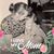 Jeanne Schumacher's profile image