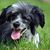 Larissa Bier Carter's profile image