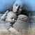 Julie Dunne's profile image
