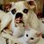 Gina Na Berardo's profile image