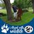 Terri Glas's profile image