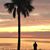 Joy Burkett's profile image