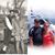 Robert Cheryl Toland's profile image