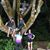 Sheldon Spadez Benner's profile image