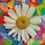 Debi Salzman's profile image