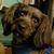 Shari Johnson Curtis's profile image