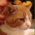 Deb Capan Moberg's profile image