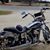Cindy Alphin's profile image