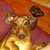 Jamie Underwood's profile image