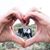 Tricia Sheats Polsky's profile image