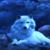 Cathy Martin's profile image