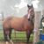 Wanda Zillmer's profile image