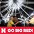 Armando Bonilla's profile image