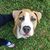 Linda Regan Hyams's profile image