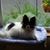 Georjean Christensen's profile image