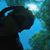William Arnold's profile image