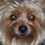 Cindy Brown Rademacher's profile image