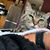 Karen Hutton Beaton's profile image