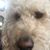Mandy Marr Damratoski's profile image