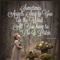 Teresa Cavalier's profile image