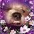 Martha Walker's profile image
