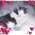Lisa McClaine's profile image