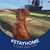 Judy Thigpin's profile image