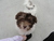 Nancy B.'s profile image