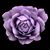 Ruperta Rodriguez's profile image