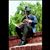 Niice Bassey's profile image