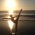 Michele Samuel's profile image