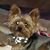 Debbie Davis's profile image