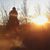 Brenda Mohr's profile image