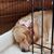 Deb Vanderpool's profile image