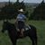 Julie Murphy's profile image