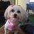 Mary Wilson's profile image