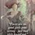 Lorrie Earle's profile image